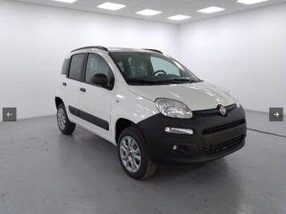 Fiat Panda 1.2 Pop, Anno 2012, KM 59226 - Hauptbild