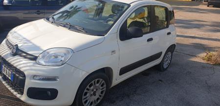 Fiat Panda 1.3 Mjt S, Anno 2012, KM 161000 - Hauptbild