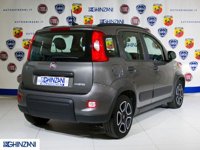 Fiat Panda 1.0 70cv Hybrid S.s Easy 5p., Anno 2021, KM 16264 - Hauptbild