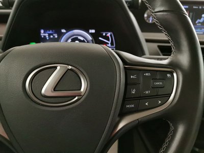 Lexus UX Hybrid 4WD Premium, Anno 2020, KM 54100 - Hauptbild